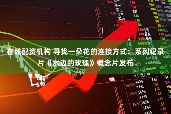 在线配资机构 寻找一朵花的连接方式：系列纪录片《水边的玫瑰》概念片发布