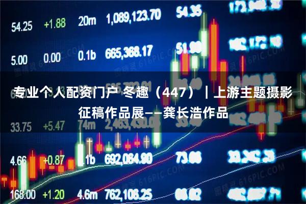 专业个人配资门户 冬趣（447）｜上游主题摄影征稿作品展——龚长浩作品