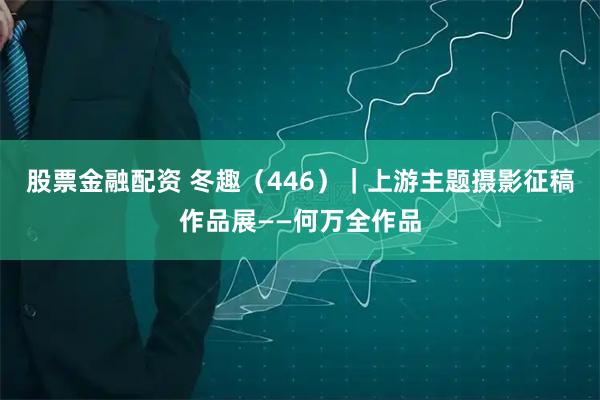 股票金融配资 冬趣（446）｜上游主题摄影征稿作品展——何万全作品