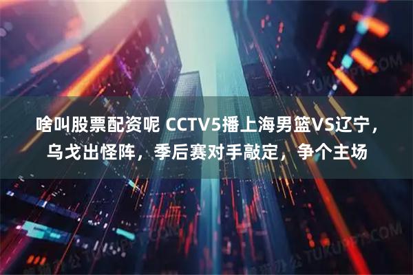 啥叫股票配资呢 CCTV5播上海男篮VS辽宁，乌戈出怪阵，季后赛对手敲定，争个主场