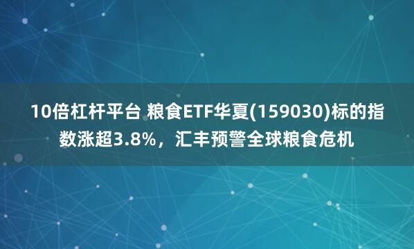 10倍杠杆平台 粮食ETF华夏(159030)标的指数涨超3.8%，汇丰预警全球粮食危机